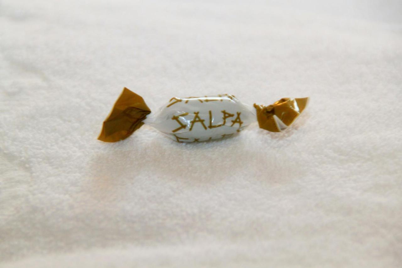 Hotelli Salpa Luumäki المظهر الخارجي الصورة